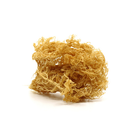 Dry Golden Sea Moss